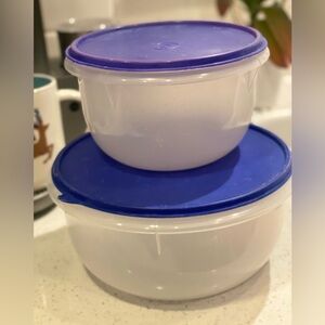 Tupperware Clear Storage Bowl Set of 2 with blue lids.